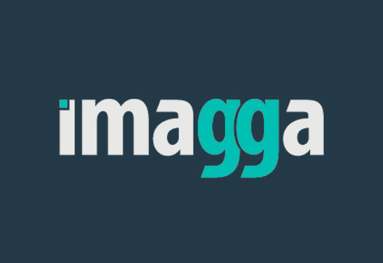 Imagga Image Recognition AI & Machine Learning APIs