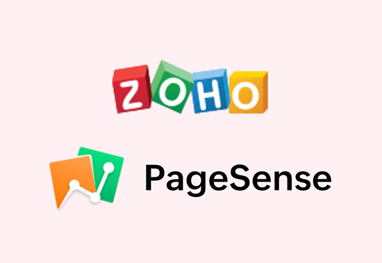 Zoho PageSense Analytics Tools