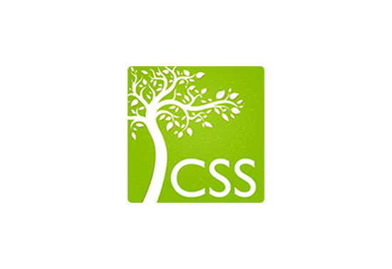Parser Libraries CSS