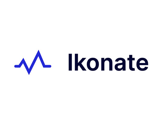 Ikonate, fully customisable icons, accessible vector icons